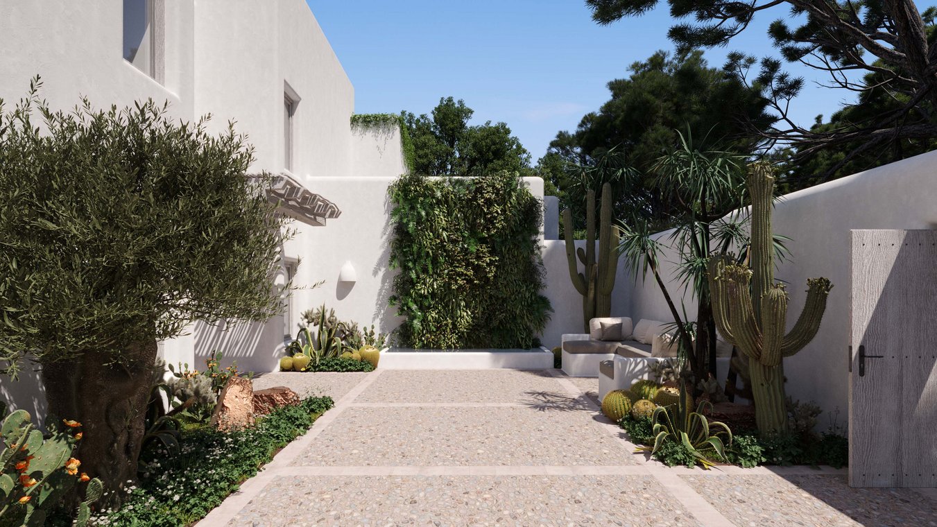 Mediterranean courtyard with cacti, olive tree, and stone wall in Ibiza.