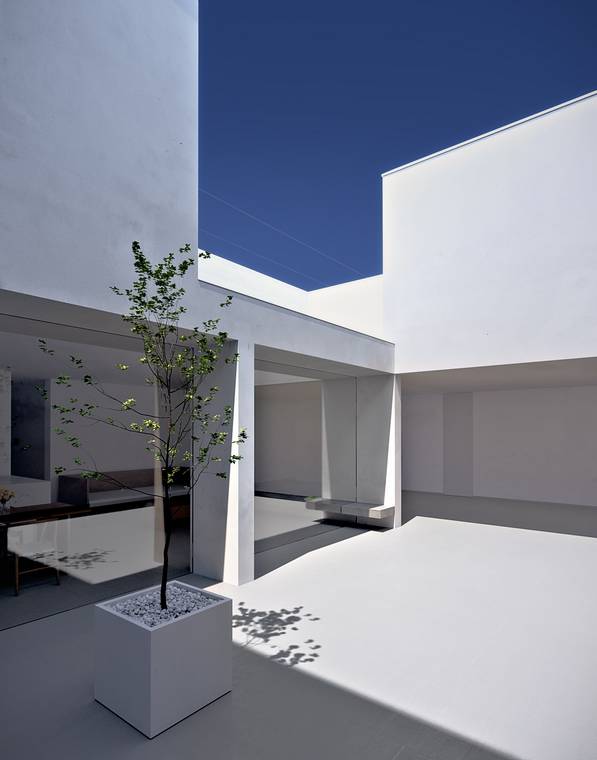 Innenhof des White Cave House mit Baum und minimalistischer Architektur